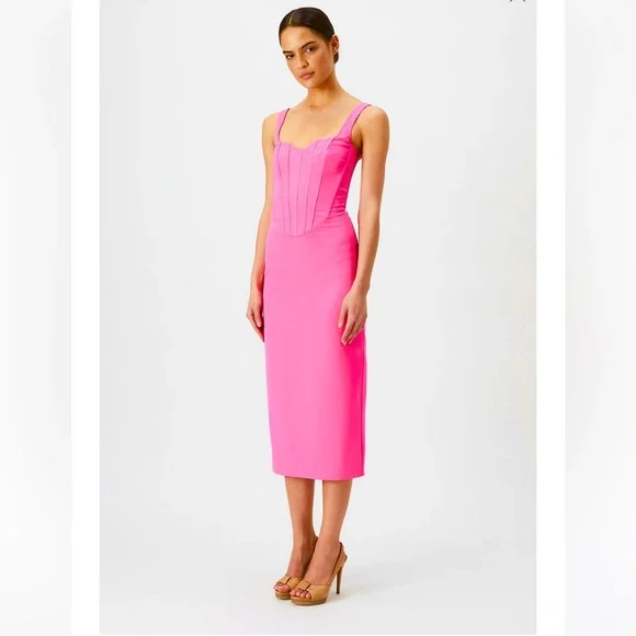 Bardot | Dresses | New Bardot Pink Corset Midi Dress Size 2xxl | Poshmark